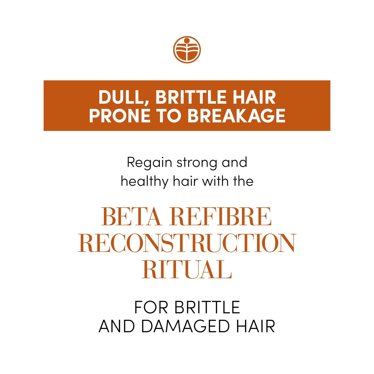 B Refibre - Professional Reconstructive Shampoo 1250ml