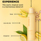 Design.Me Bounce.Me Curl Mousse – Alcohol-Free 48-Hour Definition & Frizz Control
