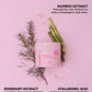Design.Me Puff.Me Volumizing Treatment Whip – Rosemary & Bamboo for Fuller Hair
