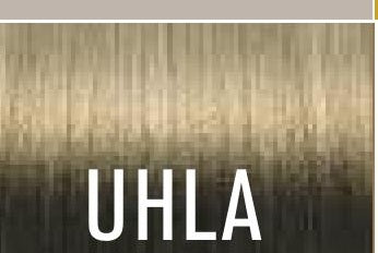 Joico UHLA / Ultra Hight Lift Ash
