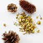 Chamomile flowers and pine, the scent notes of American Crew 3-in-1 Chamomile + Pine