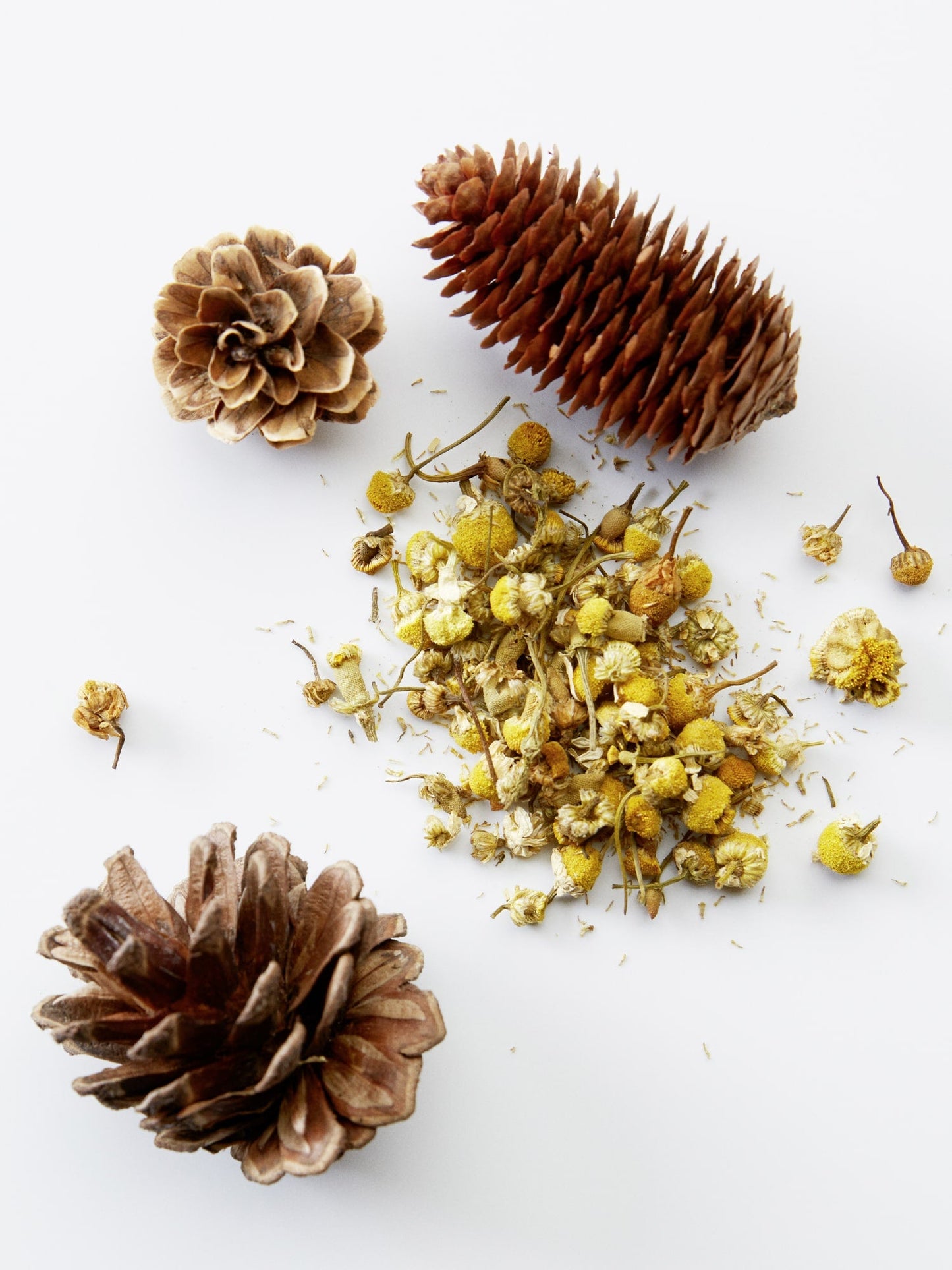 Chamomile flowers and pine, the scent notes of American Crew 3-in-1 Chamomile + Pine
