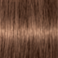 Schwarzkopf IGORA Royal Absolutes 8-60