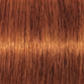 Schwarzkopf IGORA Royal Permanent Hair Colour 7-70