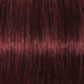 Schwarzkopf IGORA Royal Permanent Hair Colour 5-80