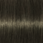 Schwarzkopf IGORA Royal Permanent Hair Colour 6-31