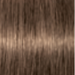 Schwarzkopf IGORA Royal Absolutes 7-50