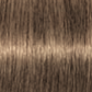 Schwarzkopf IGORA Royal Permanent Hair Colour 8-00