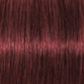 Schwarzkopf IGORA Royal Permanent Hair Colour 6-80