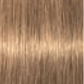 Schwarzkopf IGORA Royal Absolutes 8-50