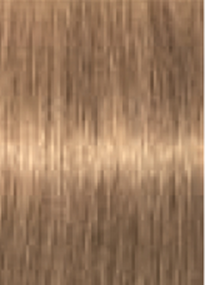 Schwarzkopf IGORA Royal Absolutes 8-50