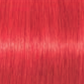 Schwarzkopf IGORA Royal Permanent Hair Colour 0-88