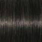 Schwarzkopf IGORA Royal Permanent Hair Colour 5-1