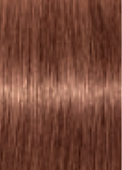 Schwarzkopf IGORA Royal Absolutes 7-560