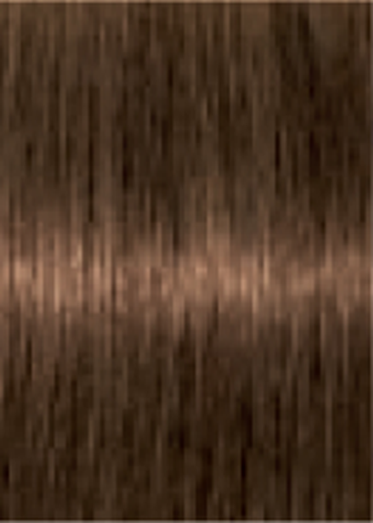 Schwarzkopf IGORA Royal Absolutes 6-60
