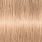 Schwarzkopf IGORA Royal 10-19