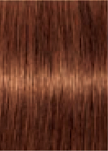 Schwarzkopf IGORA Royal Absolutes 6-70