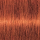 Schwarzkopf IGORA Royal Permanent Hair Colour 7-77