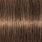 Schwarzkopf IGORA Royal Permanent Hair Colour 7-50