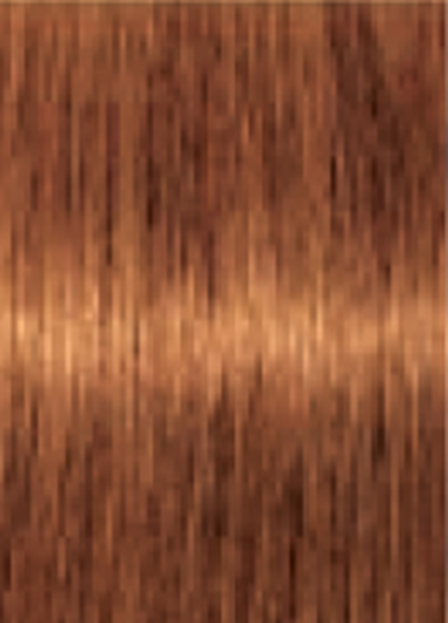 Schwarzkopf IGORA Royal Absolutes 7-70