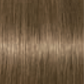 Schwarzkopf IGORA Royal Absolutes 8-140
