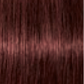 Schwarzkopf IGORA Royal Absolutes 5-80