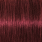 Schwarzkopf IGORA Royal Permanent Hair Colour 5-88