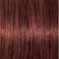 Schwarzkopf IGORA Royal Absolutes 6-80