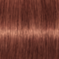 Schwarzkopf IGORA Royal Permanent Hair Colour 7-560
