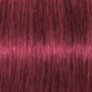 Schwarzkopf IGORA Royal Permanent Hair Colour 6-88