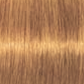 Schwarzkopf IGORA Royal Permanent Hair Colour 9-60