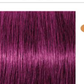 Schwarzkopf IGORA Royal Permanent Hair Colour — shade 0-89 Red Violet Concentrate on a hair strand