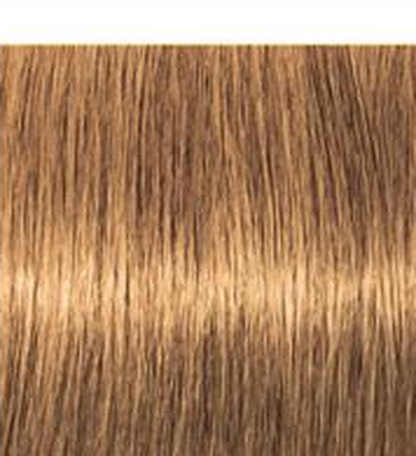 Schwarzkopf IGORA Royal Permanent Hair Colour — shade 8-55 Light Blonde Gold Extra on a hair strand