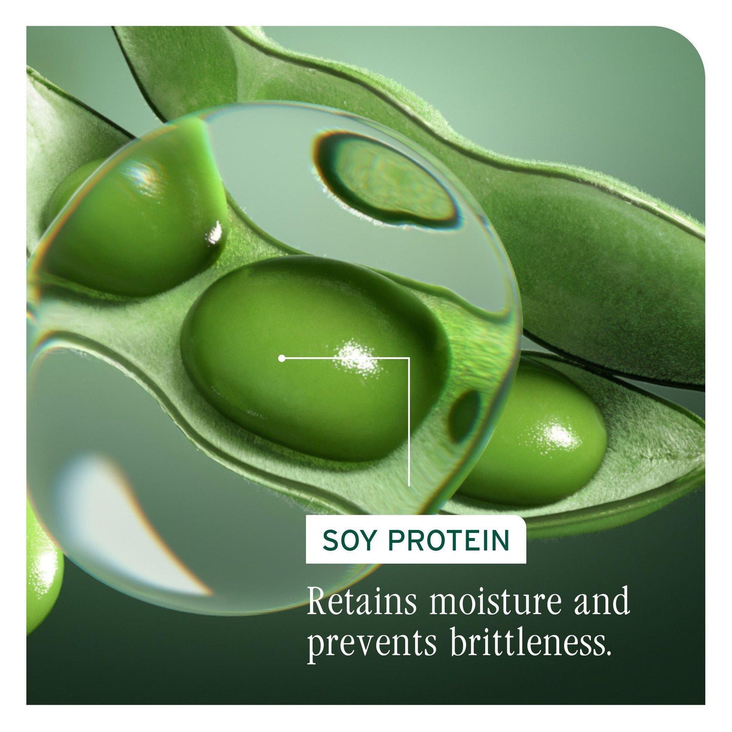 Soy protein ingredient macro for Biolage Volume Boost
