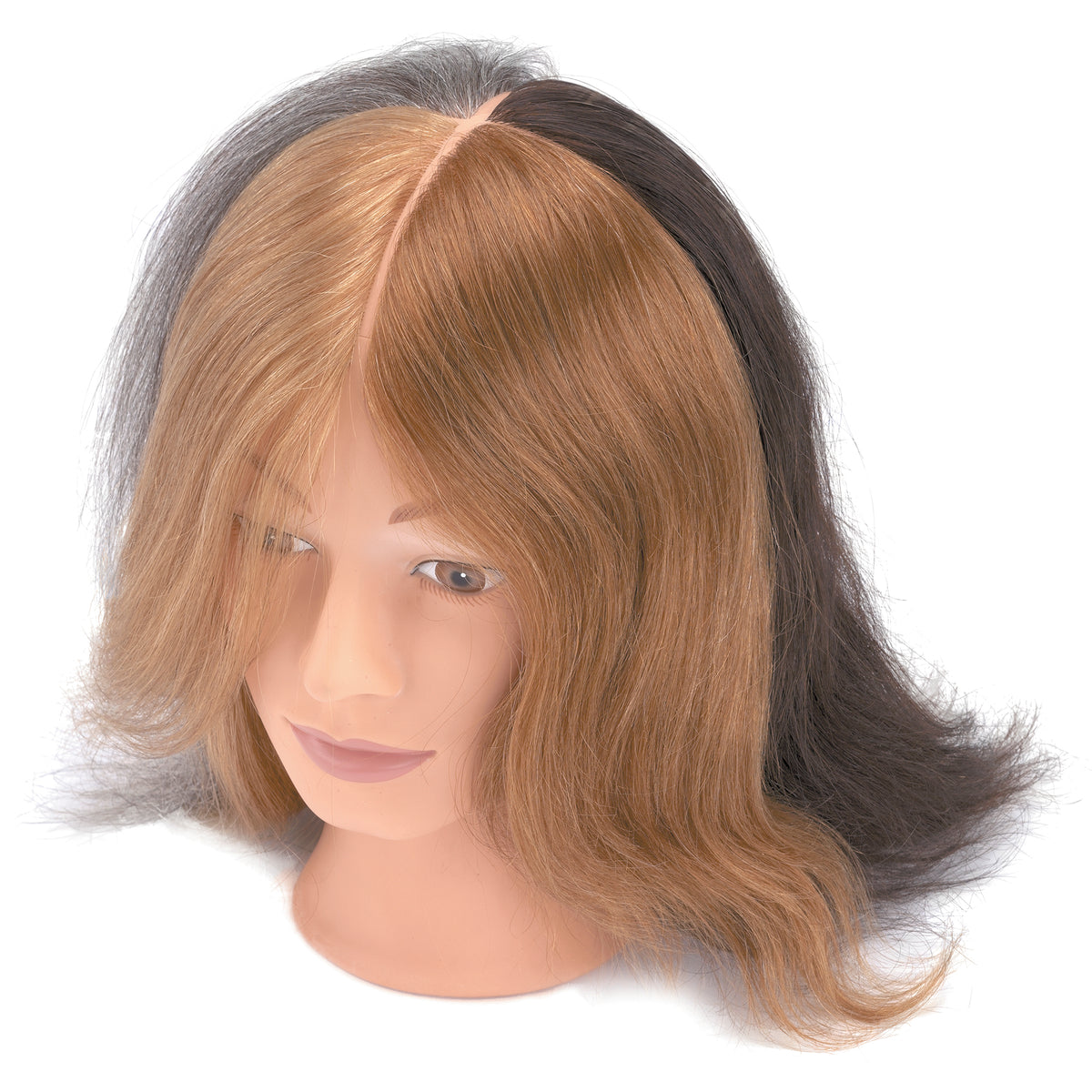 BaBylissPRO Mannequin with Four Colors Hair