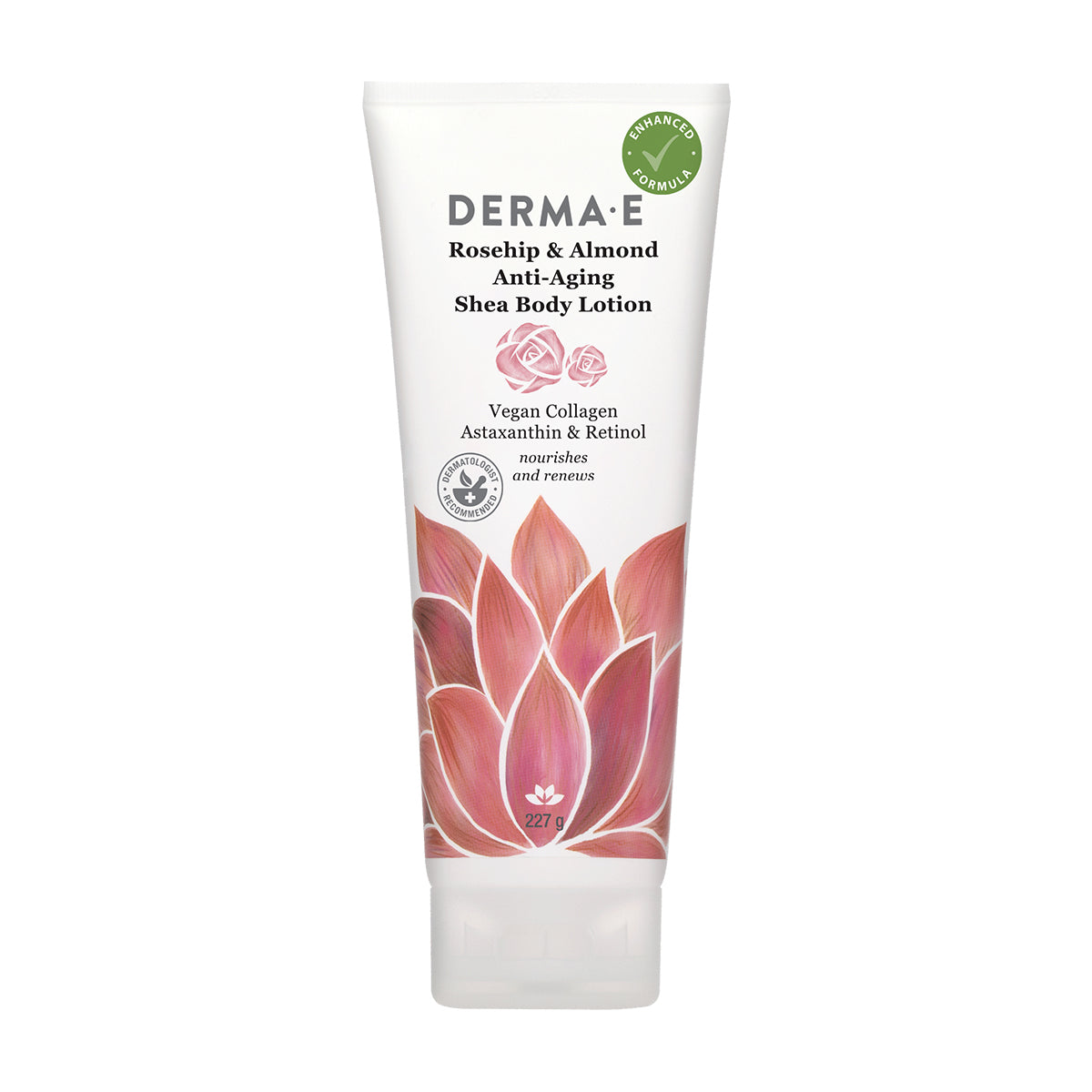 Rosehip & Almond Anti-Aging Shea Body Lotion - ProCare Outlet by DERMA E