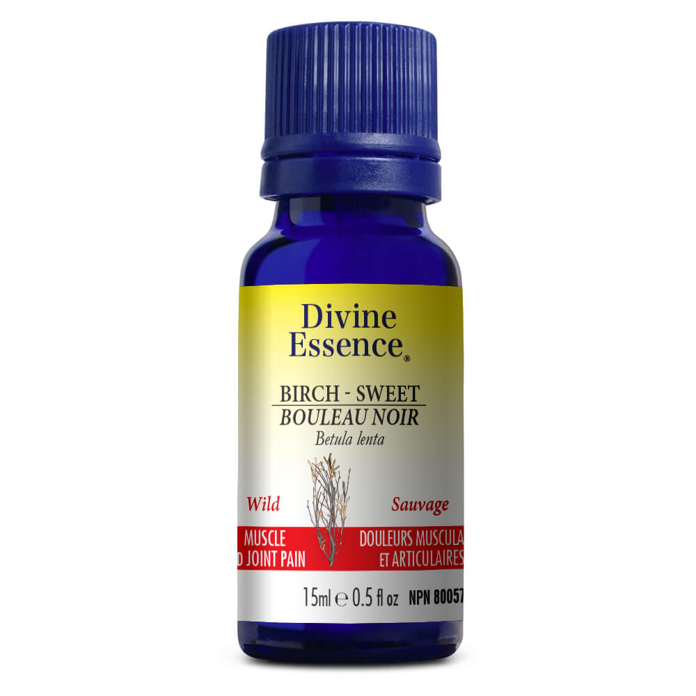 Birch Sweet wild Essential oil 15ml Divine Essence - ProCare Outlet by Divine Essence