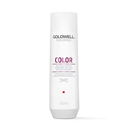 Goldwell Dualsenses Color Brilliance Shampoo – Colour Protection for Fine to Normal Hair – exact package image