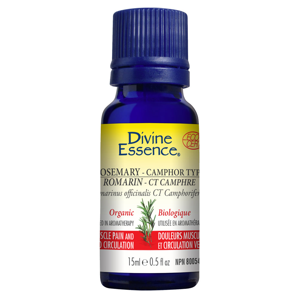 Rosemary-Camphor Type Organic Essential Oil 15ml, DIVINE ESSENCE - by Divine Essence |ProCare Outlet|