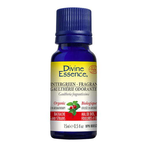 Wintergreen Fragrant Organic Essential Oil 15ml, DIVINE ESSENCE - ProCare Outlet by Divine Essence
